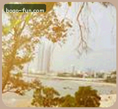吴雪